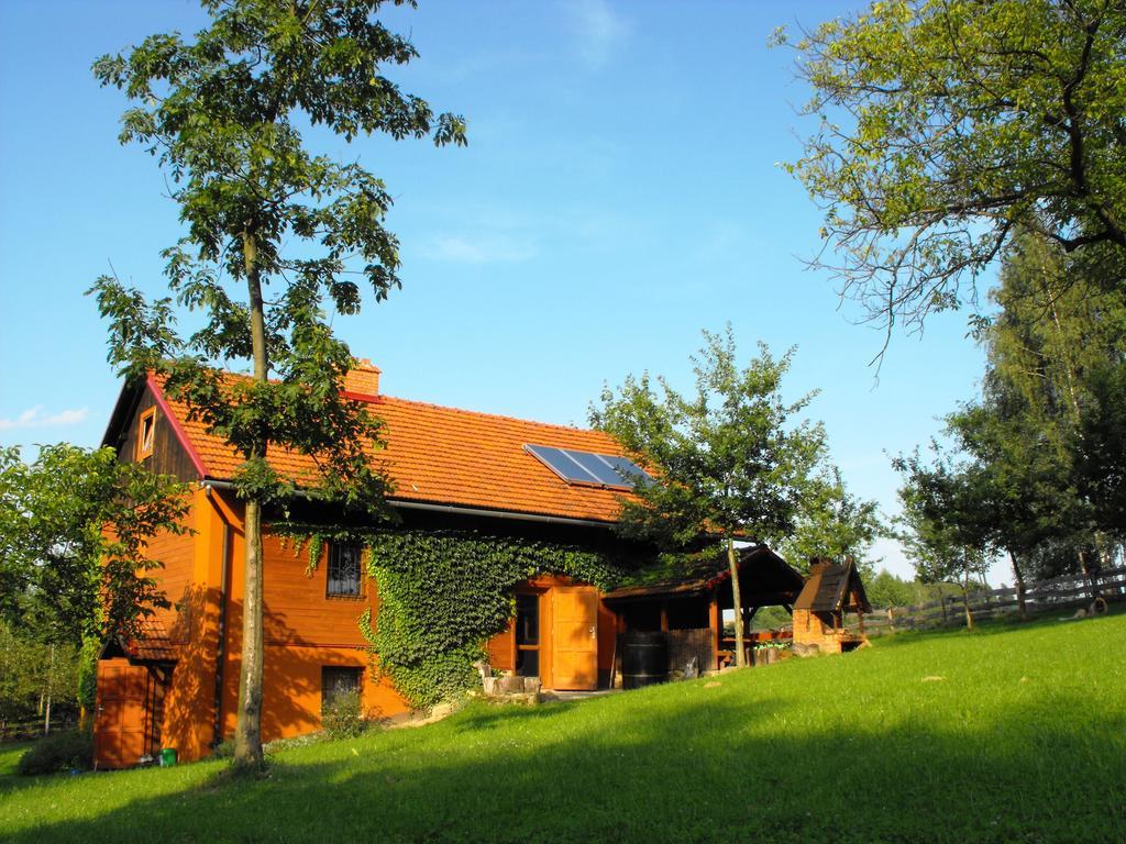Agroturystyka Zacisze Czarna Owca Brzezanka Экстерьер фото