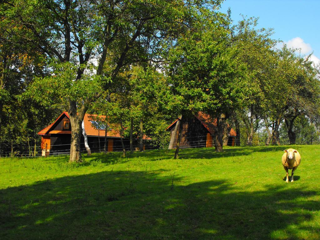 Agroturystyka Zacisze Czarna Owca Brzezanka Экстерьер фото