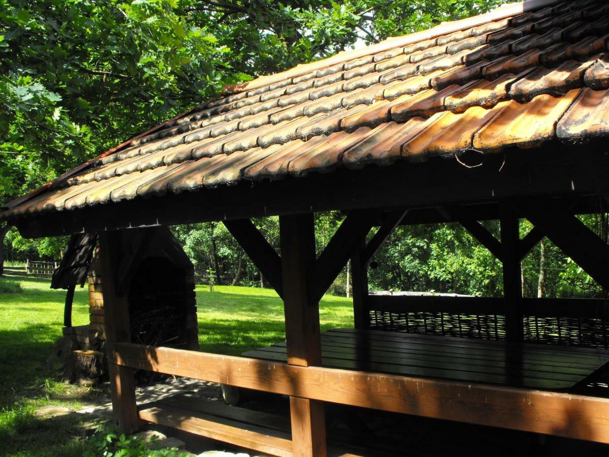 Agroturystyka Zacisze Czarna Owca Brzezanka Экстерьер фото